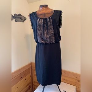 NWT Loft Dress